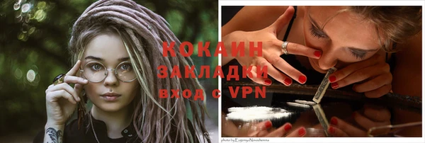 ПСИЛОЦИБИНОВЫЕ ГРИБЫ Верея