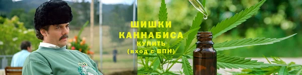 ПСИЛОЦИБИНОВЫЕ ГРИБЫ Верея