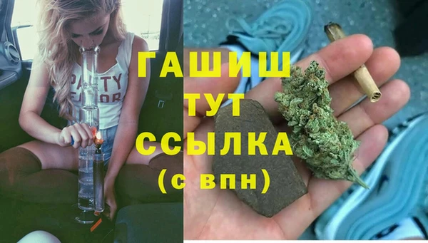 ПСИЛОЦИБИНОВЫЕ ГРИБЫ Верея
