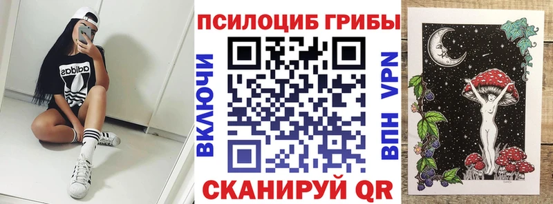 Купить где Котельнич Псилоцибиновые грибы ЛСД